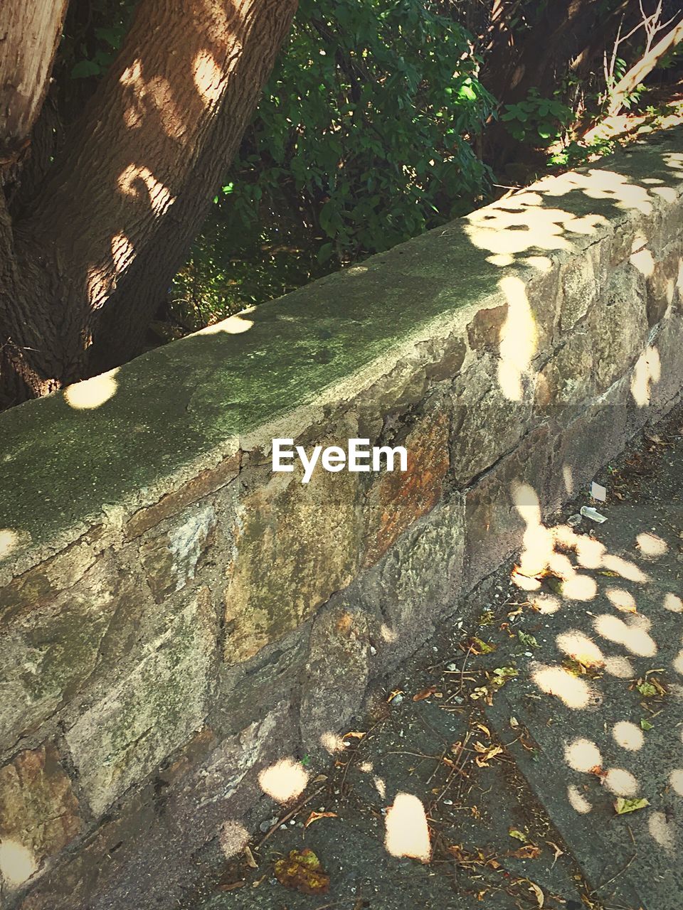 HIGH ANGLE VIEW OF FOOTPATH AMIDST LEAVES