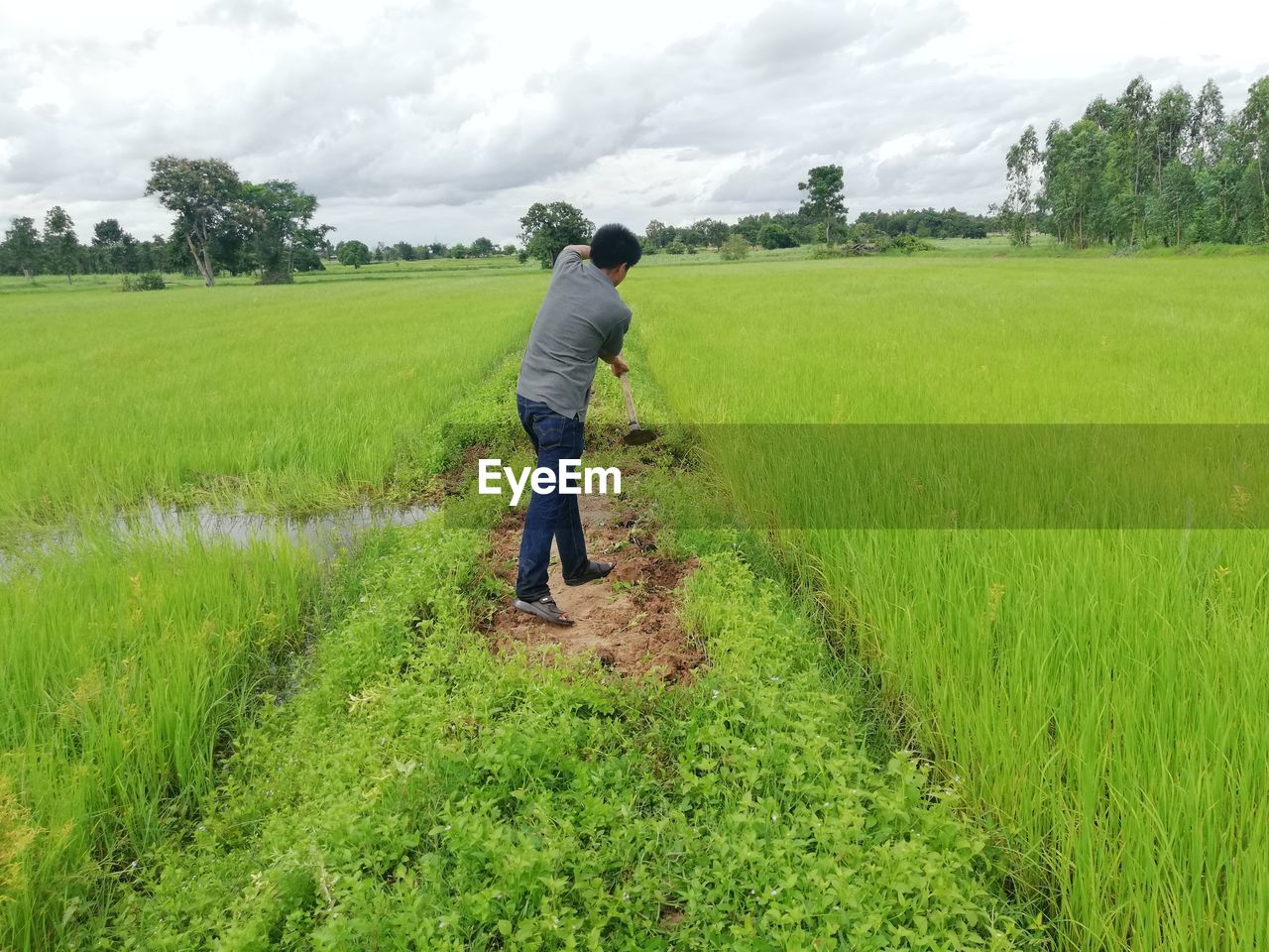 REAR VIEW OF MAN STANDING ON FIELD