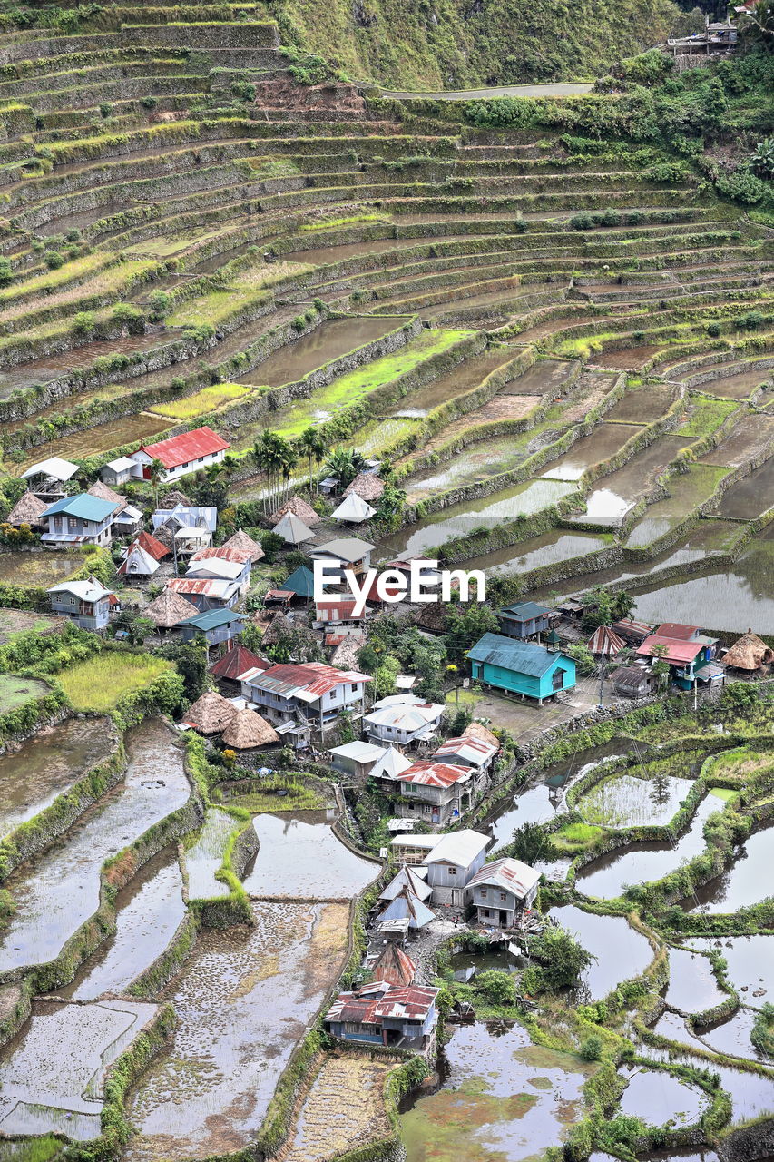 HIGH ANGLE VIEW OF HOUSES ON AGRICULTURAL FIELD BY HOUSE