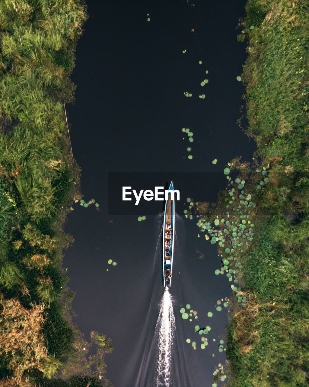 HIGH ANGLE VIEW OF ROAD BY TREES