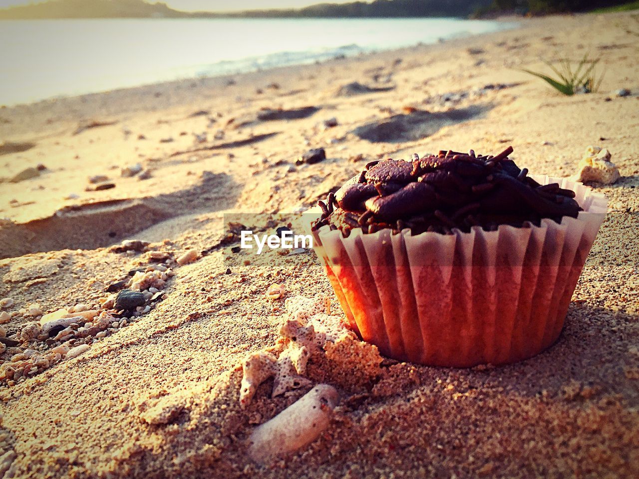 CLOSE-UP OF BREAD ON SHORE