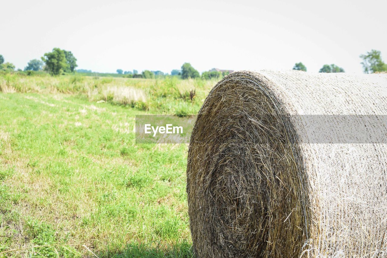 HAY BALES ON FIELD BY FARM AGAINST SKY