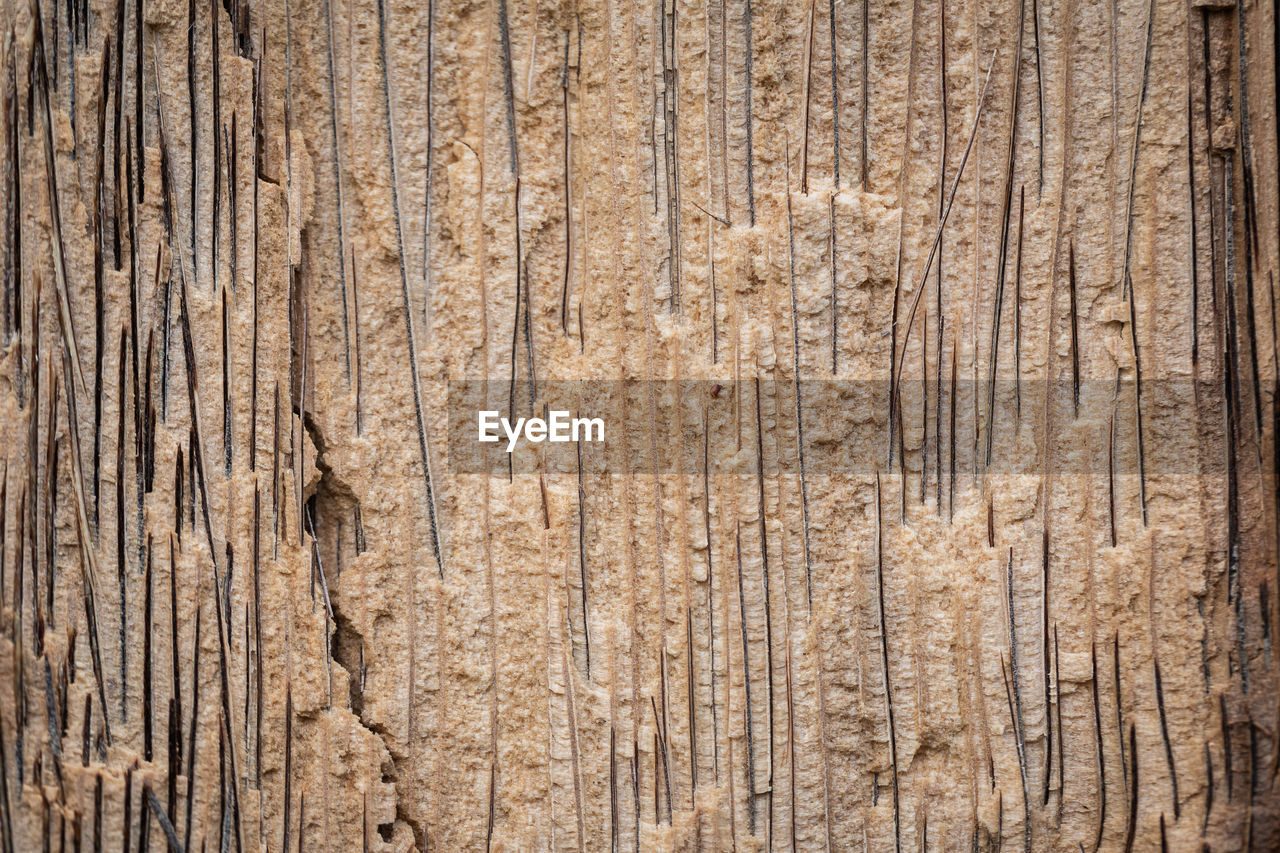 FULL FRAME SHOT OF WEATHERED WOOD