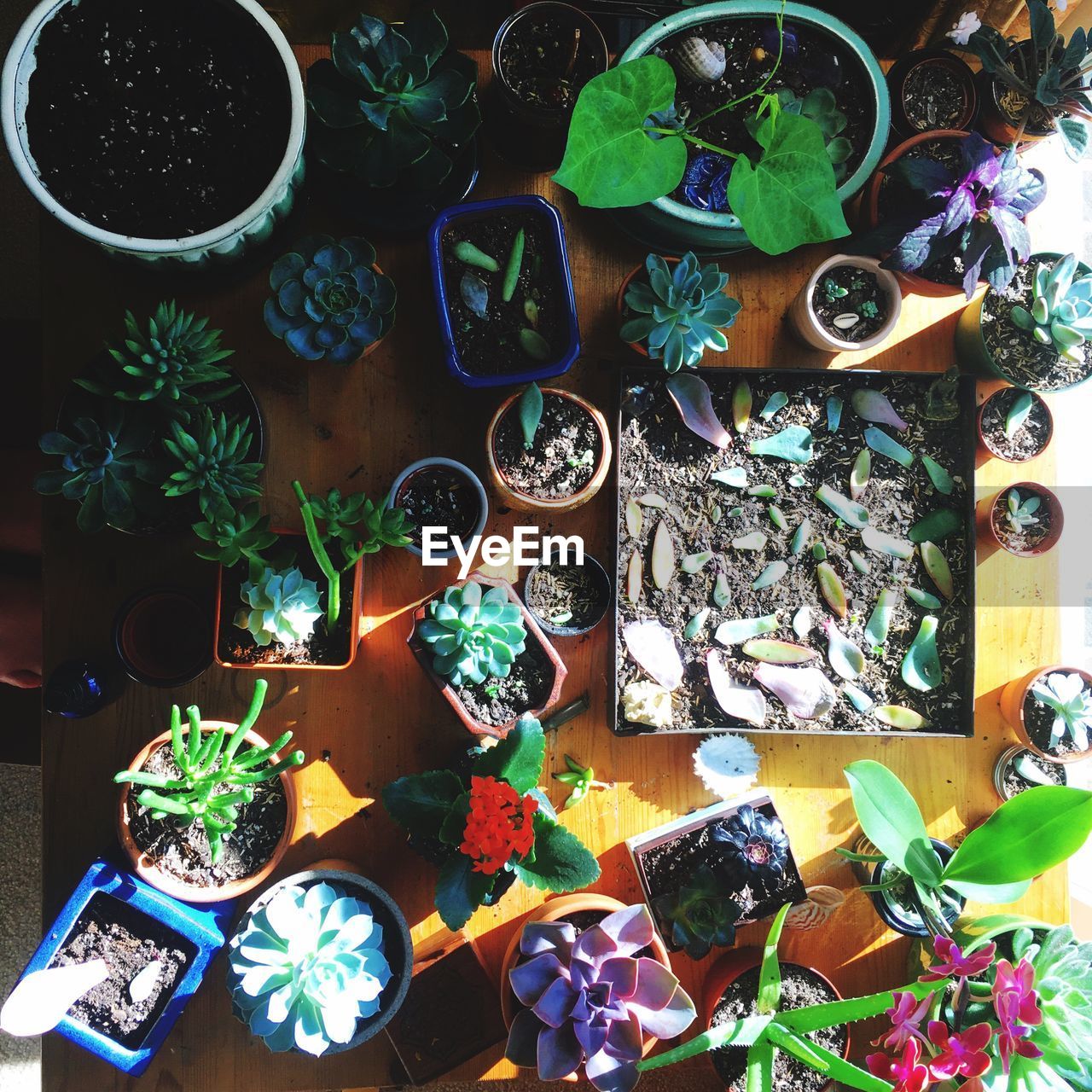 HIGH ANGLE VIEW OF MULTI COLORED TABLE