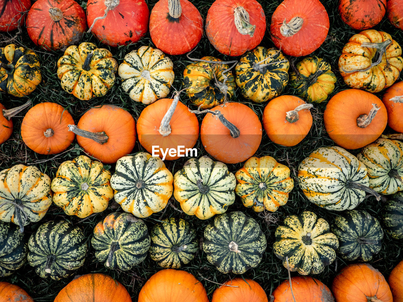 Full frame shot of pumpkins for sale in market