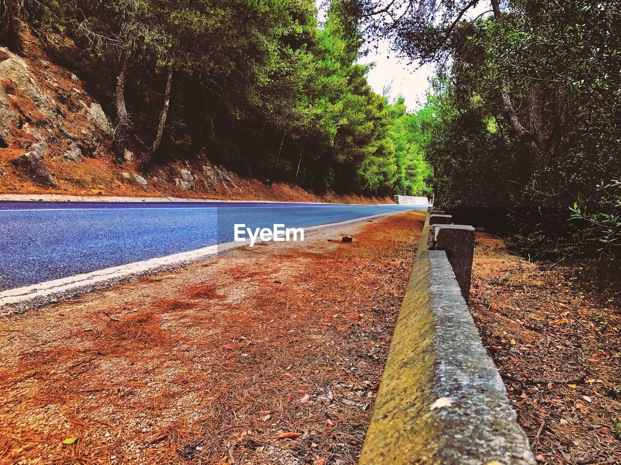 Road by trees against sky