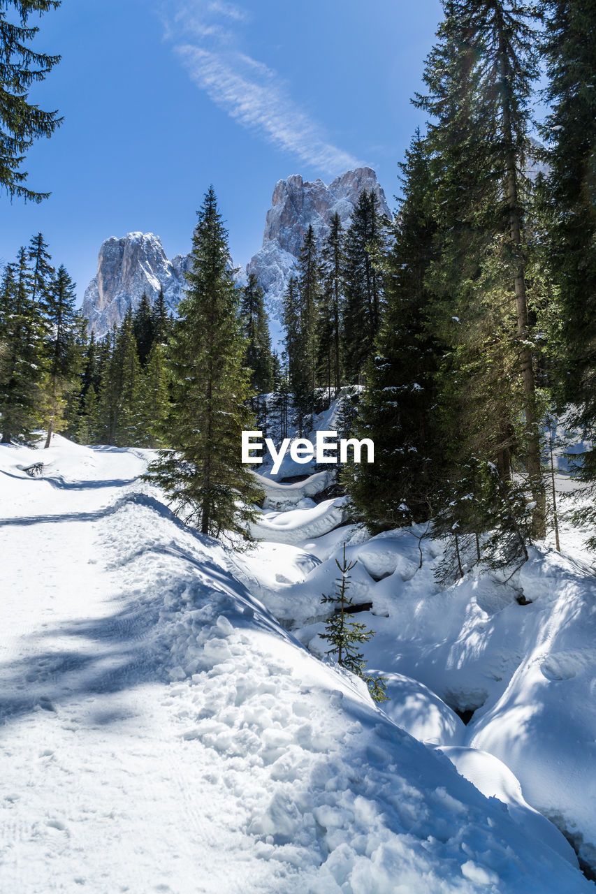 Snow covered land and trees against sky