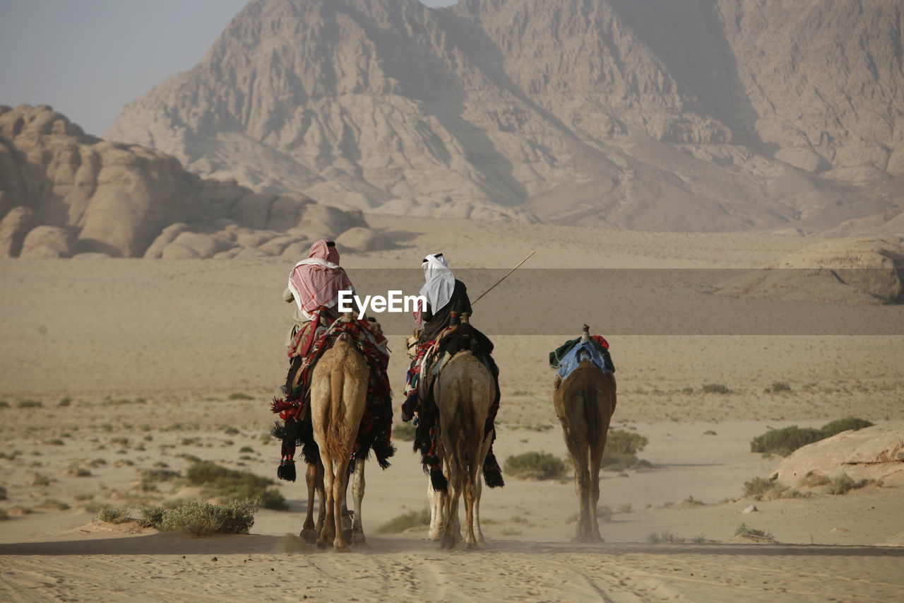 Rear view of people riding camels on desert landscape against mountain