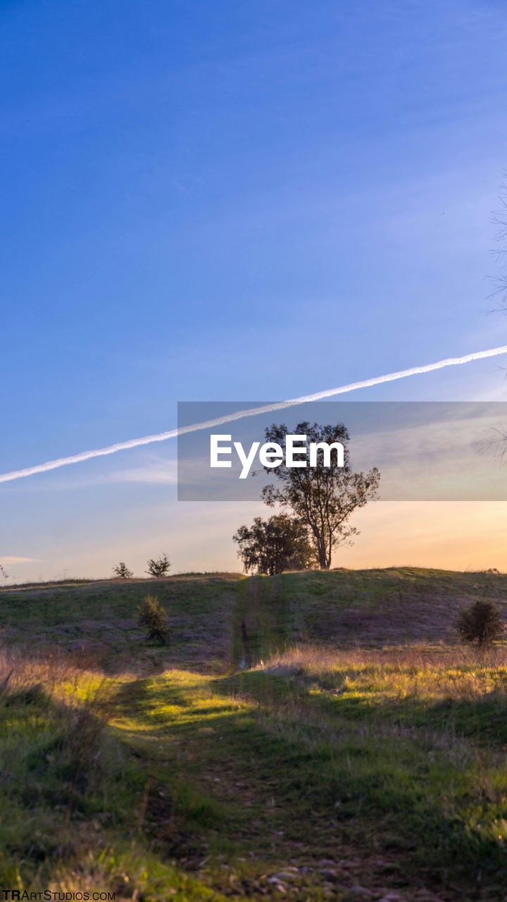 Vapor trail over field