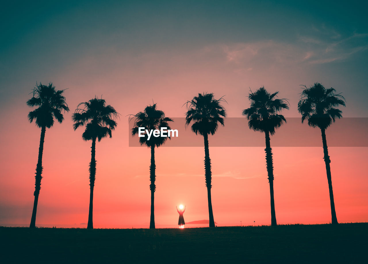 Silhouette person standing amidst palm trees against sky during sunset