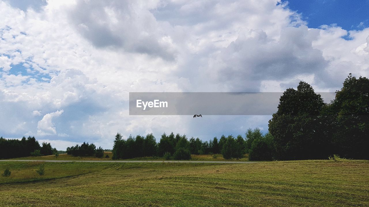 SCENIC VIEW OF LAND AGAINST SKY