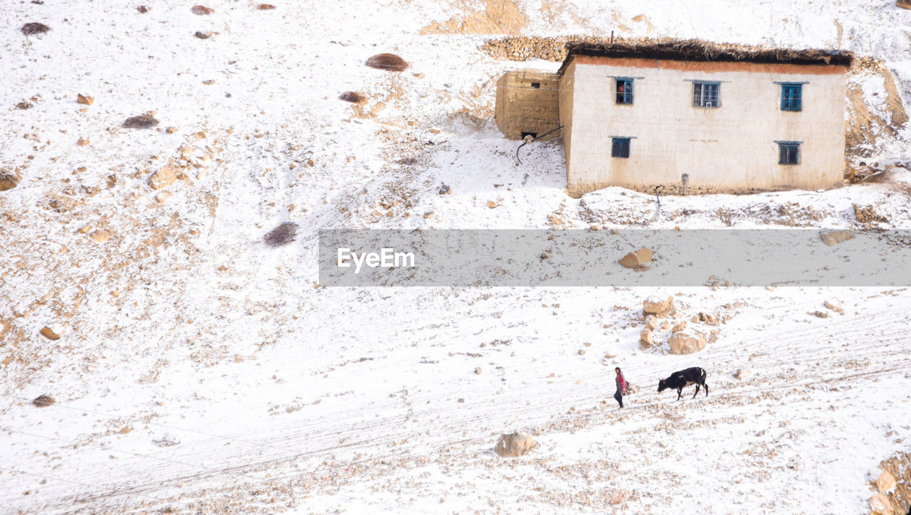 VIEW OF DOG ON SNOW COVERED BUILDING