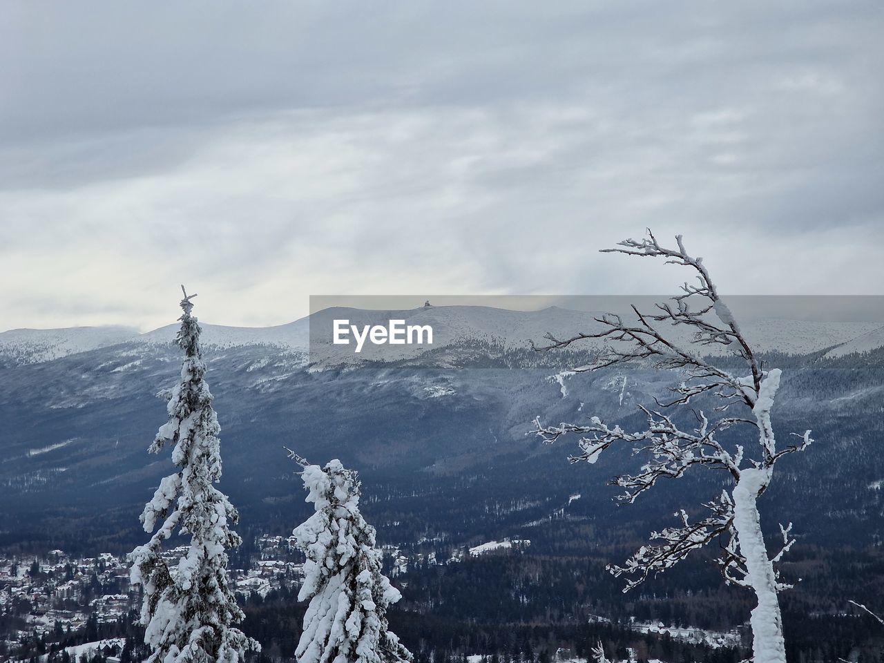 winter, snow, mountain, cold temperature, scenics - nature, environment, sky, beauty in nature, cloud, landscape, nature, mountain range, snowcapped mountain, tree, no people, tranquil scene, tranquility, land, non-urban scene, plant, forest, coniferous tree, day, travel destinations, pinaceae, pine tree, outdoors, ridge, travel, frozen, remote, idyllic, pine woodland, tourism, mountain peak, fog, summit, wilderness, extreme terrain, physical geography, holiday
