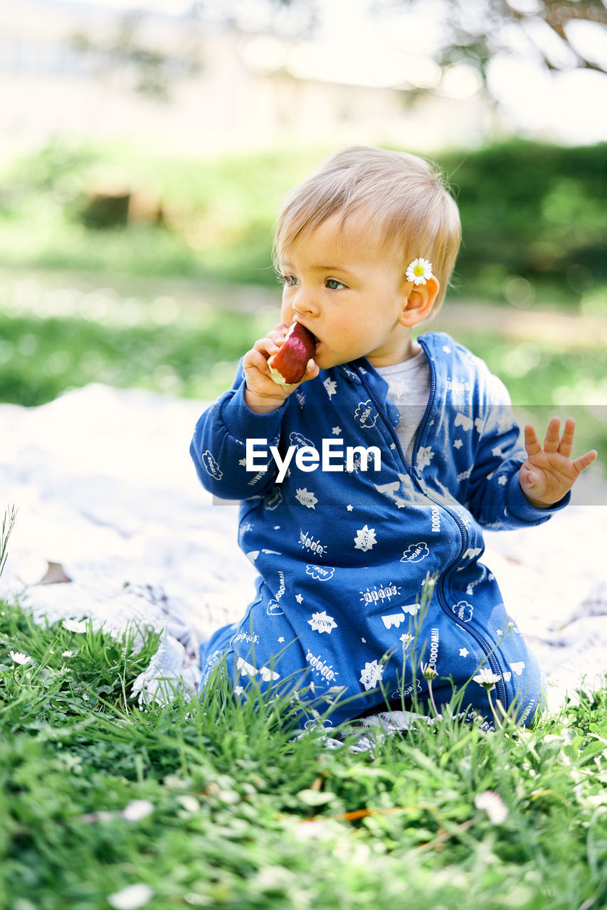 Cute boy sitting on field