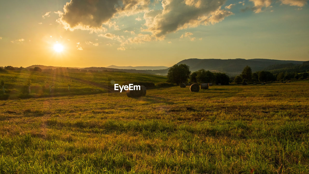 HAY BALES ON FIELD DURING SUNSET