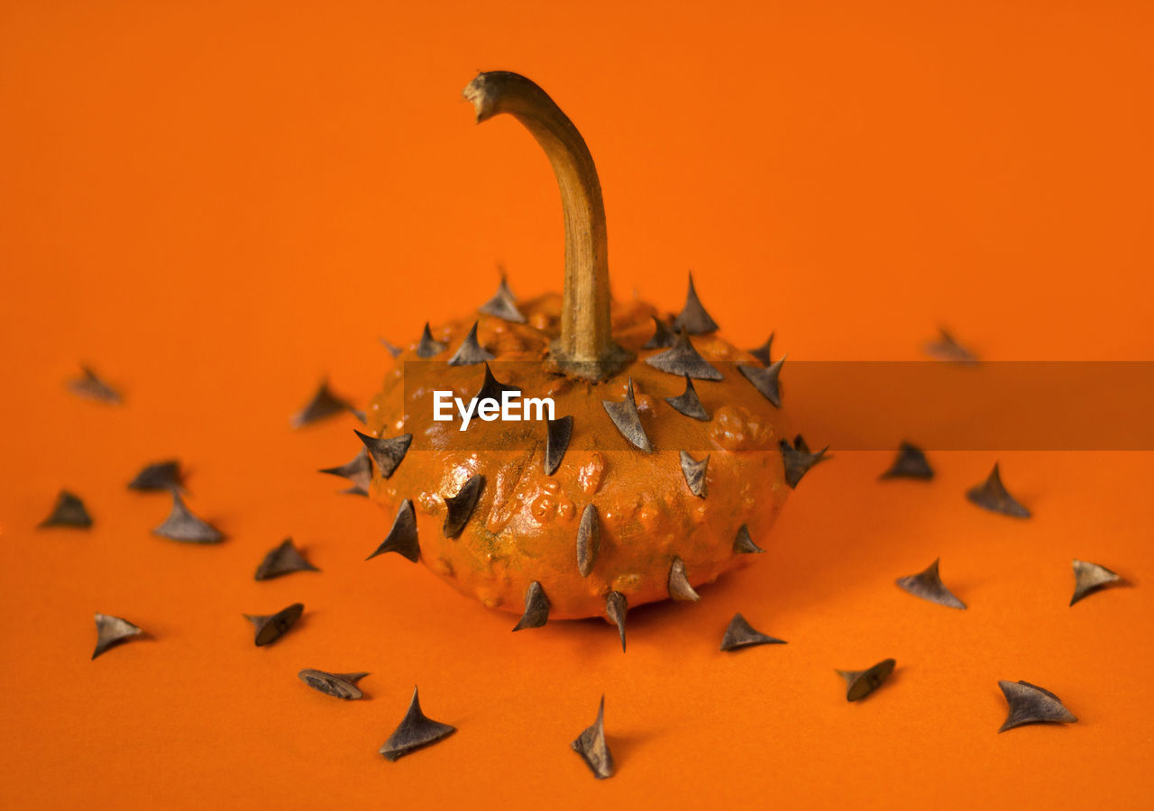 Close-up of orange pumpkin with spins on orange background