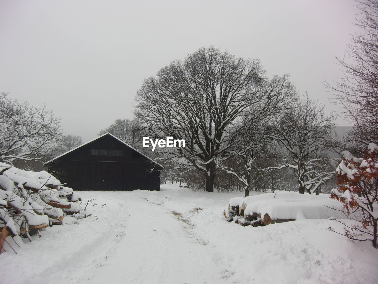 VIEW OF SNOW COVERED LANDSCAPE