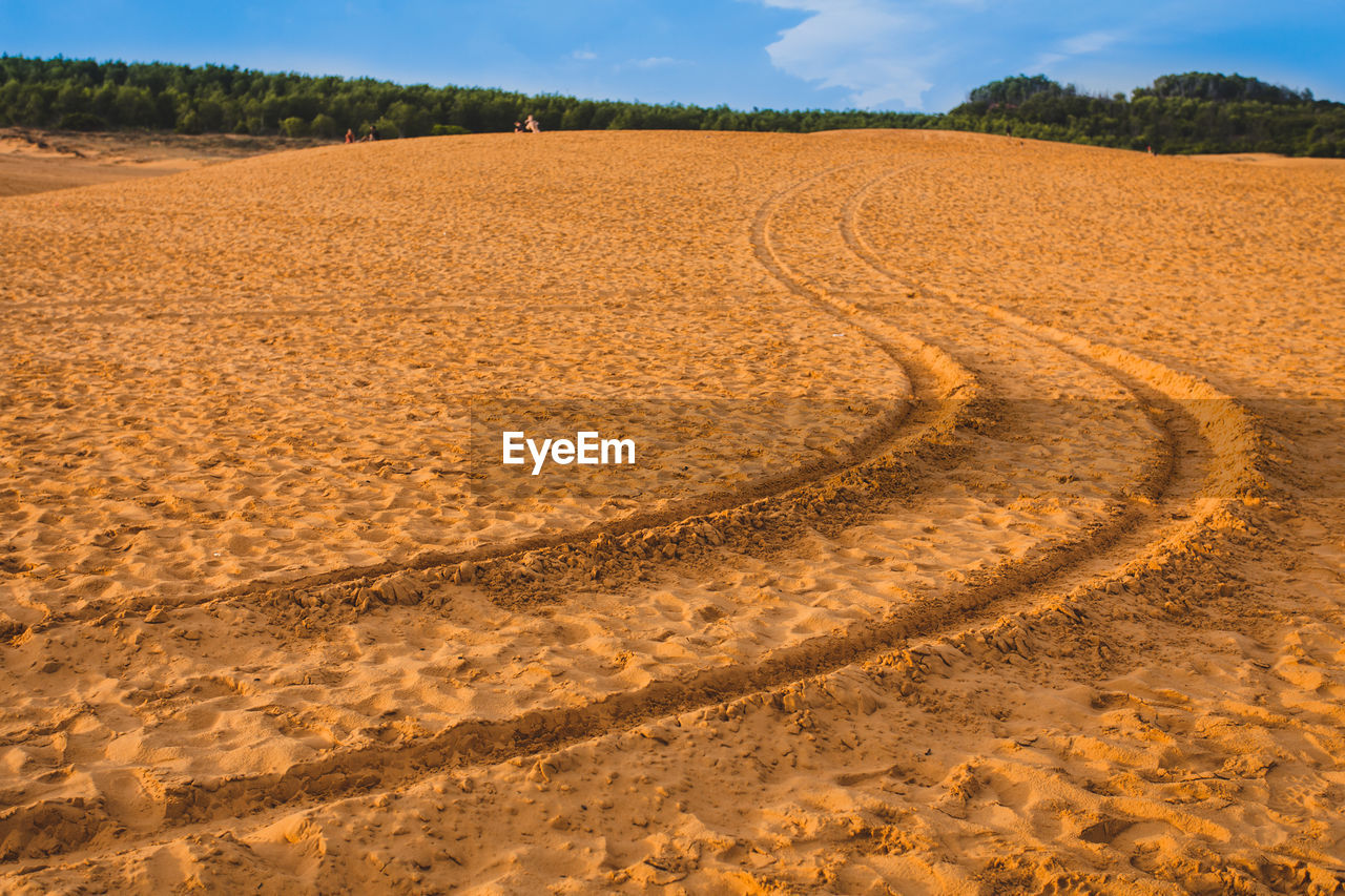 TIRE TRACKS ON SAND DUNE IN DESERT