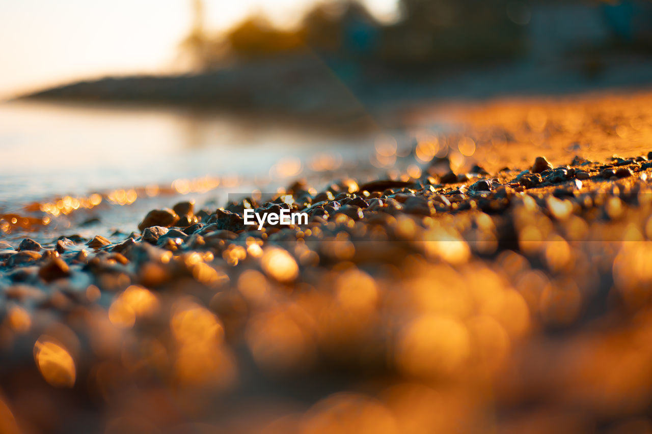 Serene baltic sea shoreline. shallow depth of field picture of baltic sea shores during sunrise. 