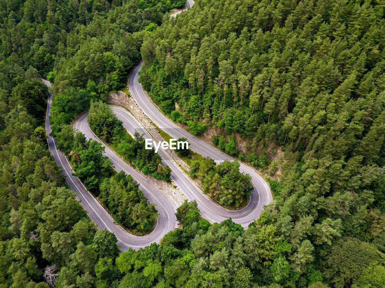 Winding road through the forest, from high mountain pass, in summer time