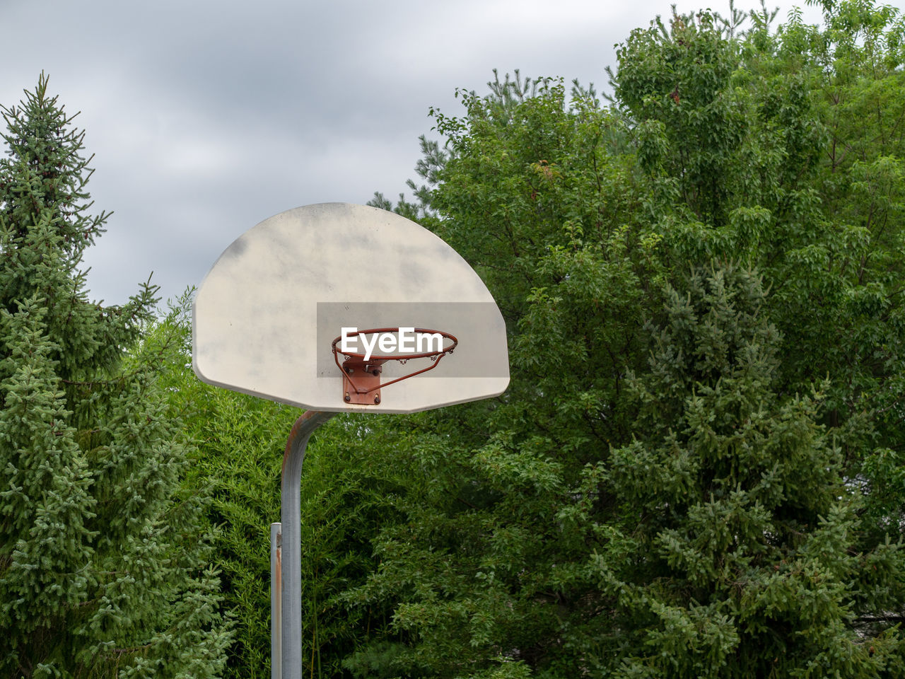 LOW ANGLE VIEW OF BASKETBALL HOOP AGAINST TREES