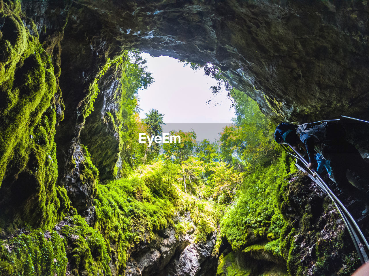 Scenic view of forest seen through cave
