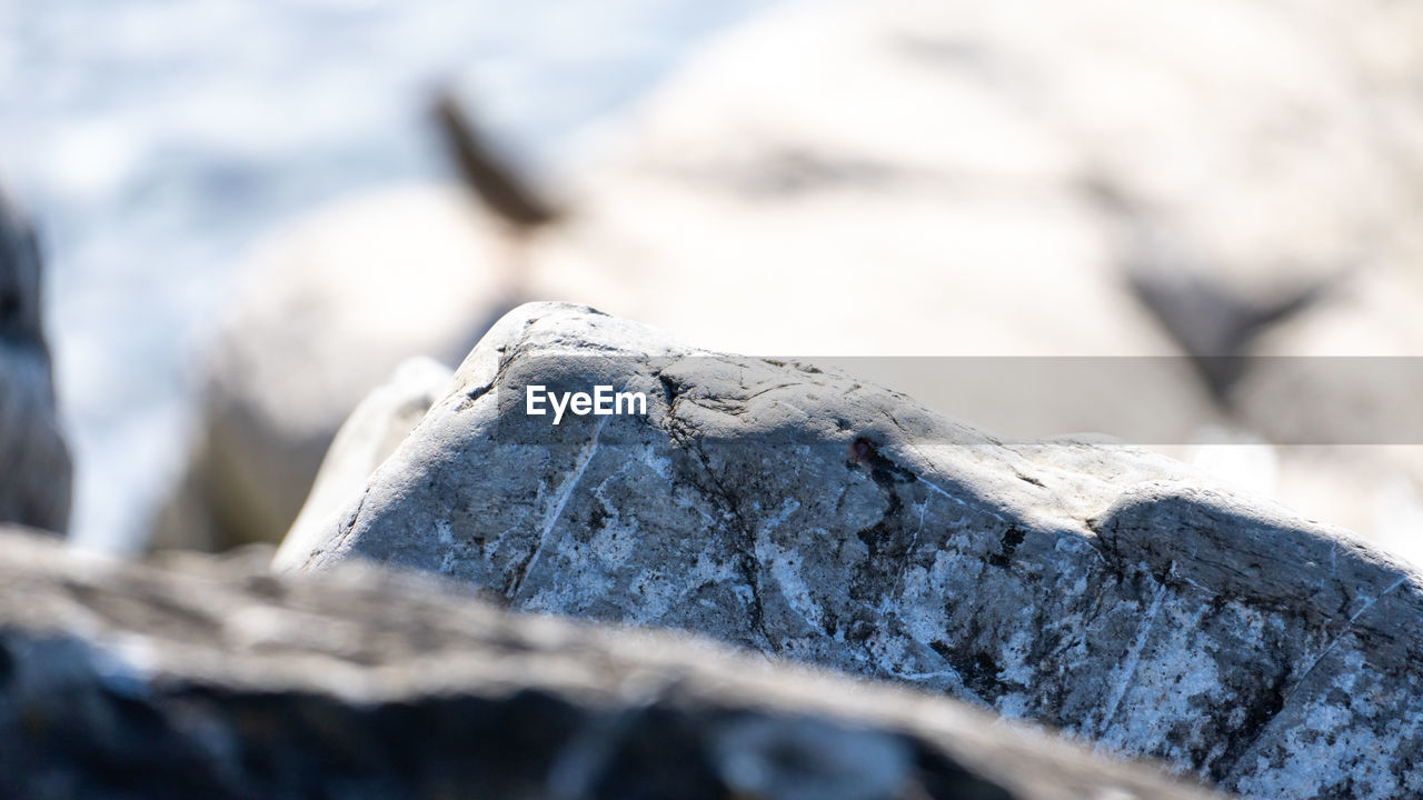 winter, nature, rock, snow, blue, close-up, selective focus, no people, day, cold temperature, ice, outdoors, freezing, mountain, environment, frost, focus on foreground, landscape