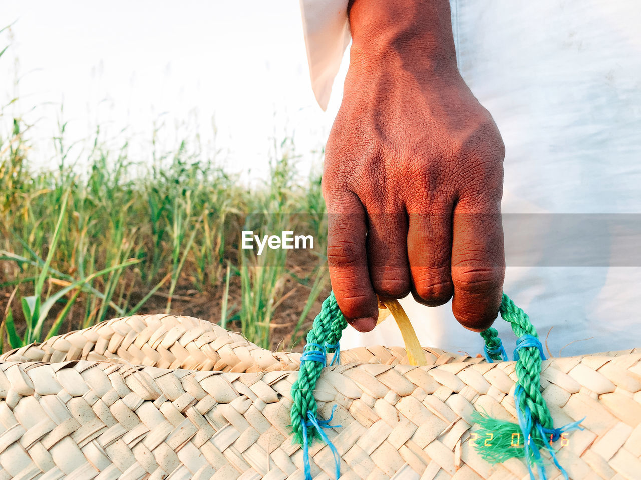 hand, one person, nature, adult, day, limb, outdoors, human leg, men, plant, grass, close-up, land, human limb, lifestyles