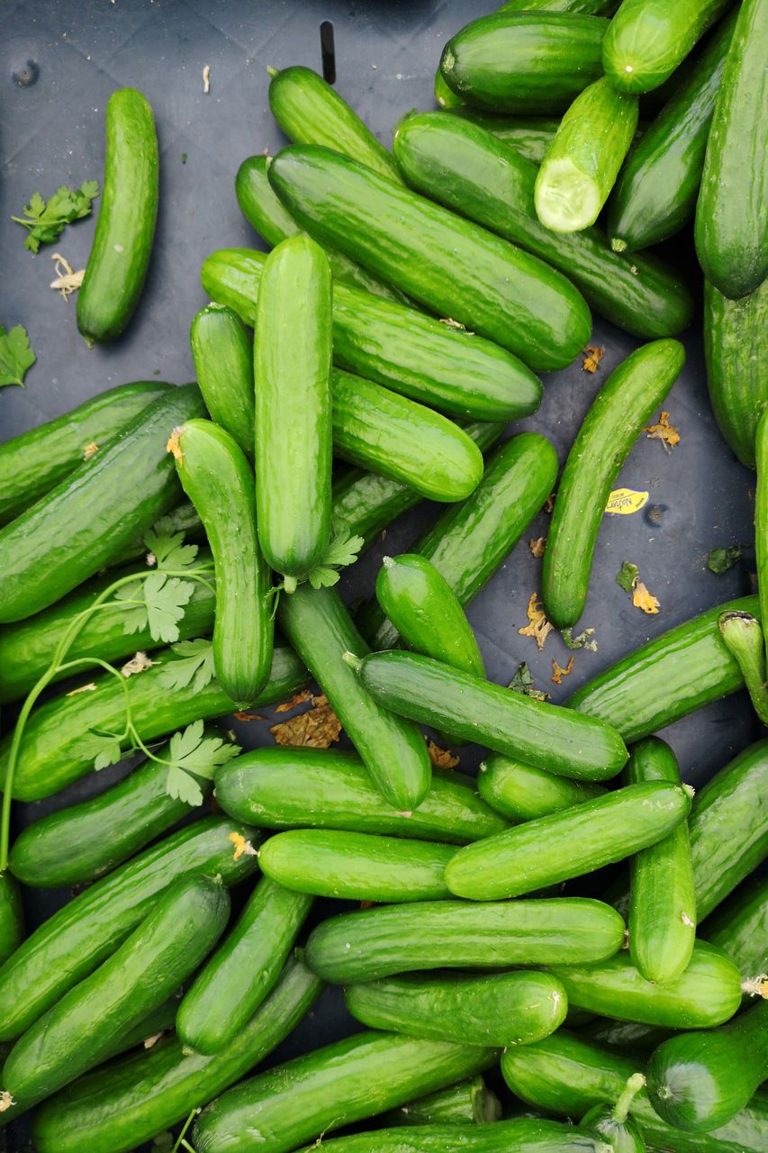 High angle view of cucumbers at market