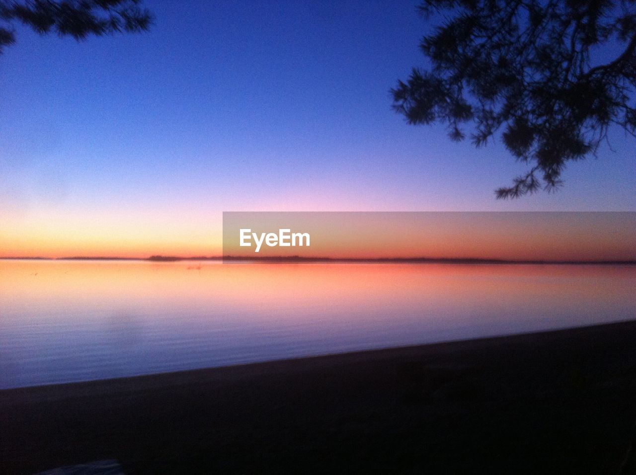 SCENIC VIEW OF SILHOUETTE TREES AGAINST SKY AT SUNSET