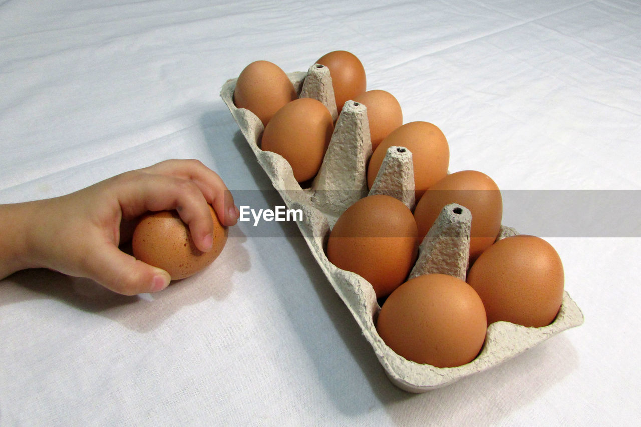 HIGH ANGLE VIEW OF EGGS IN PLATE