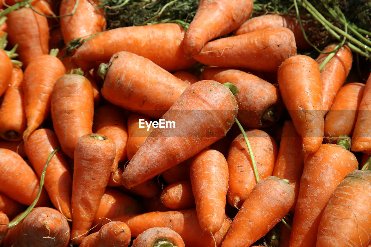 High angle view of carrots for sale at market