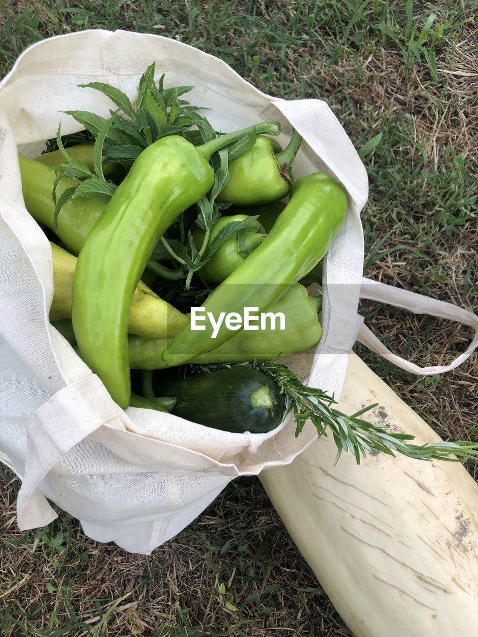 HIGH ANGLE VIEW OF VEGETABLES IN CONTAINER ON FIELD
