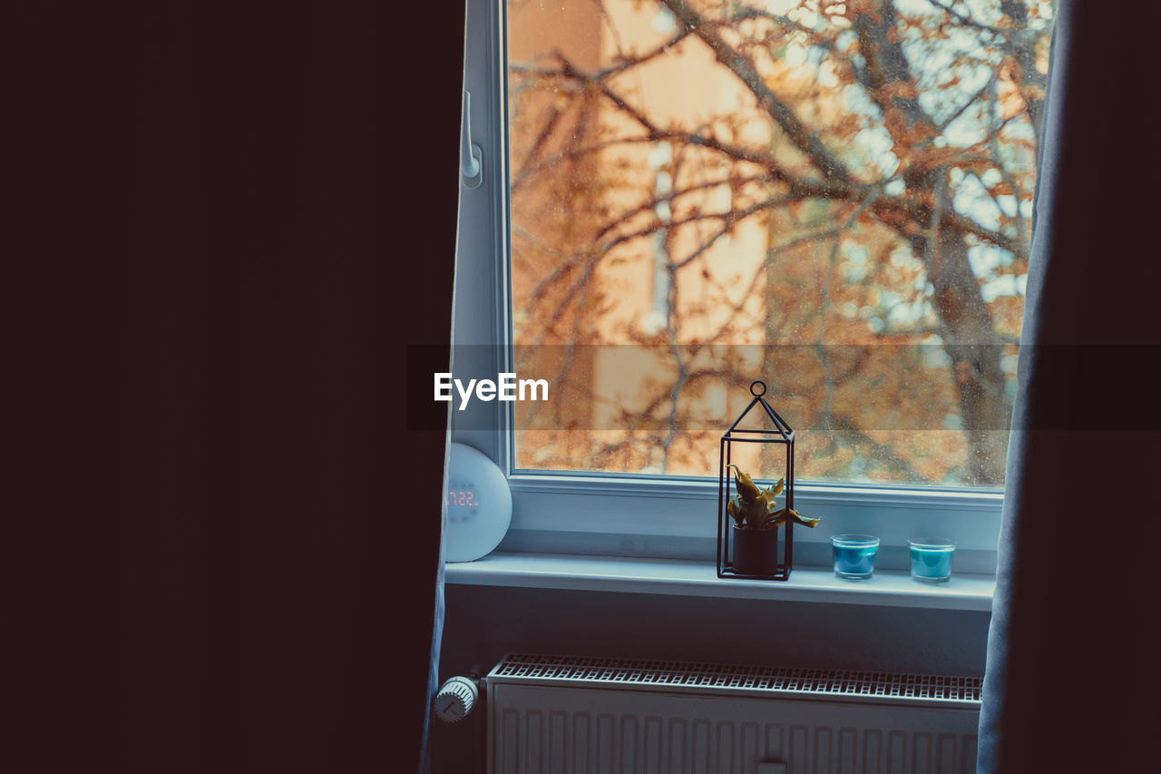 High angle view of plant on window sill at home