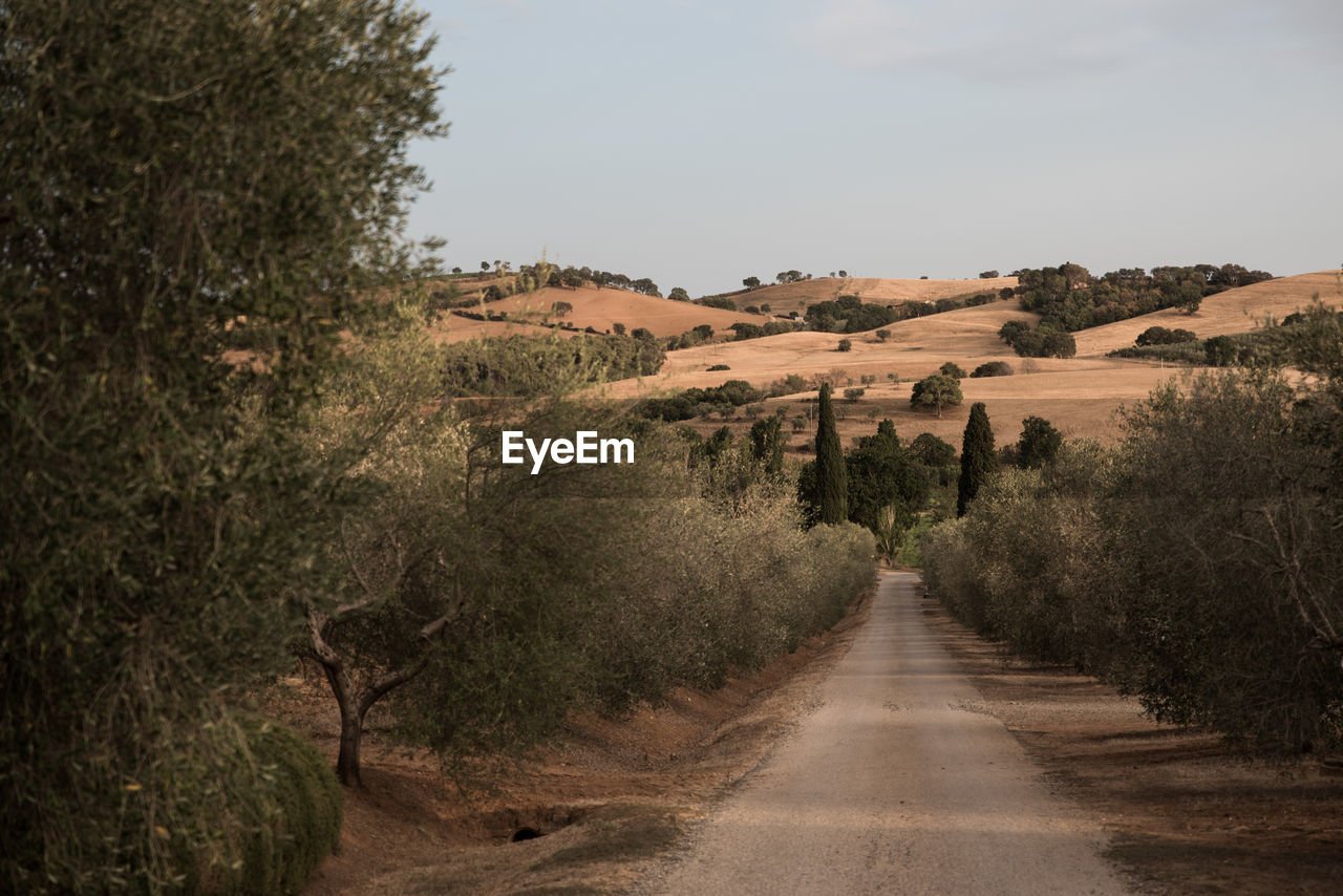 ROAD BY AGRICULTURAL LANDSCAPE AGAINST CLEAR SKY