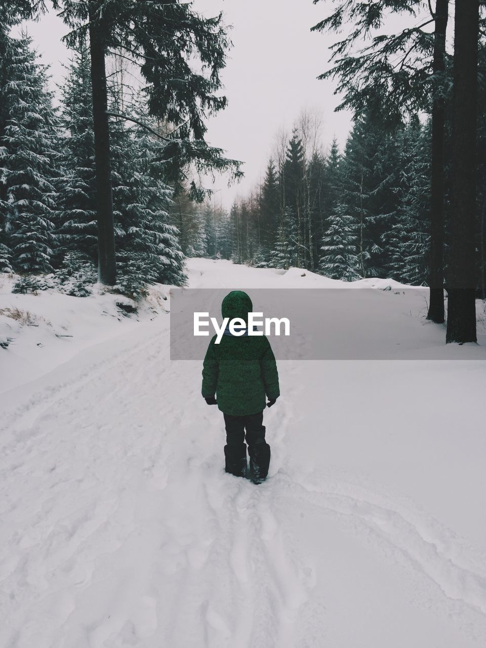 Rear view of boy in warm clothing standing on snow covered field against pine trees