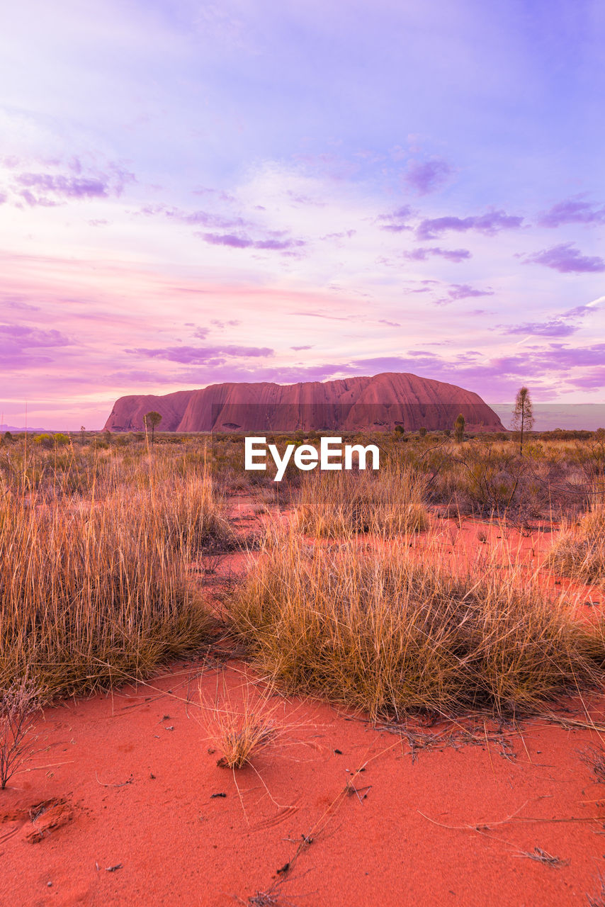 Scenic view of field against sky during sunset