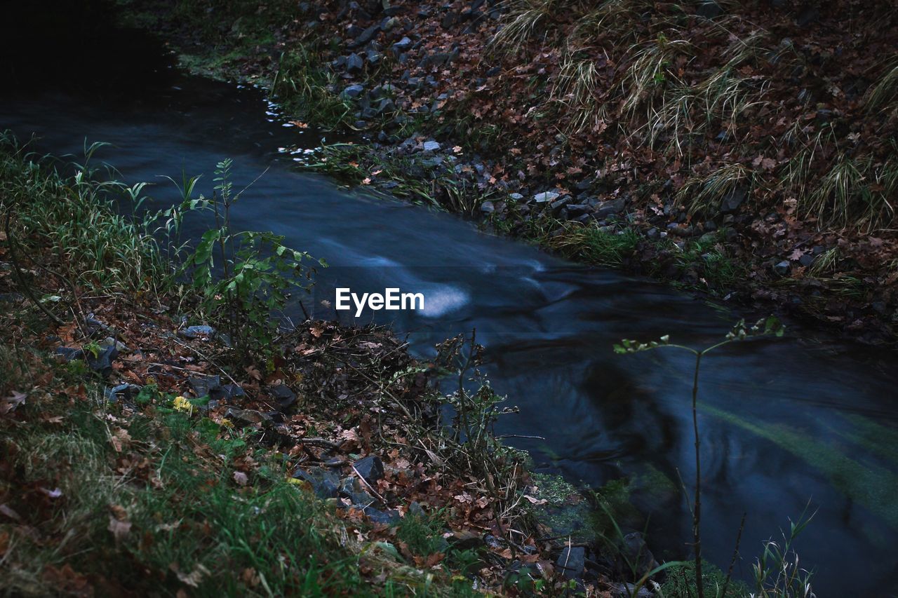 HIGH ANGLE VIEW OF WATERFALL IN FOREST