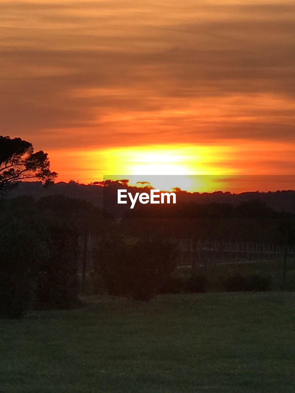 SCENIC VIEW OF FIELD AGAINST ORANGE SKY