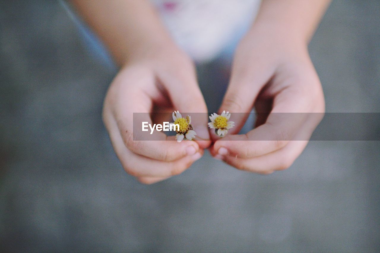 Midsection of girl holding flowers