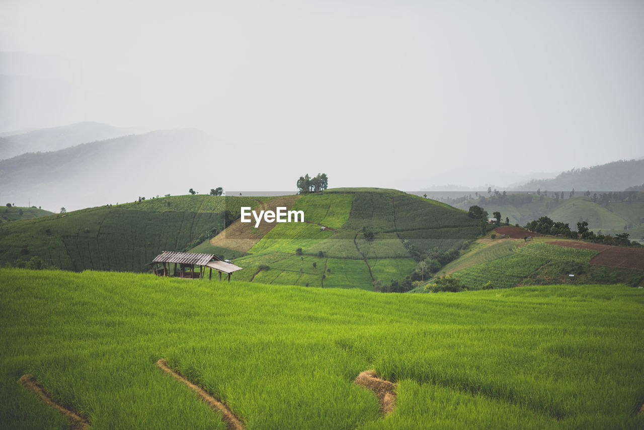 SCENIC VIEW OF AGRICULTURAL LANDSCAPE AGAINST SKY