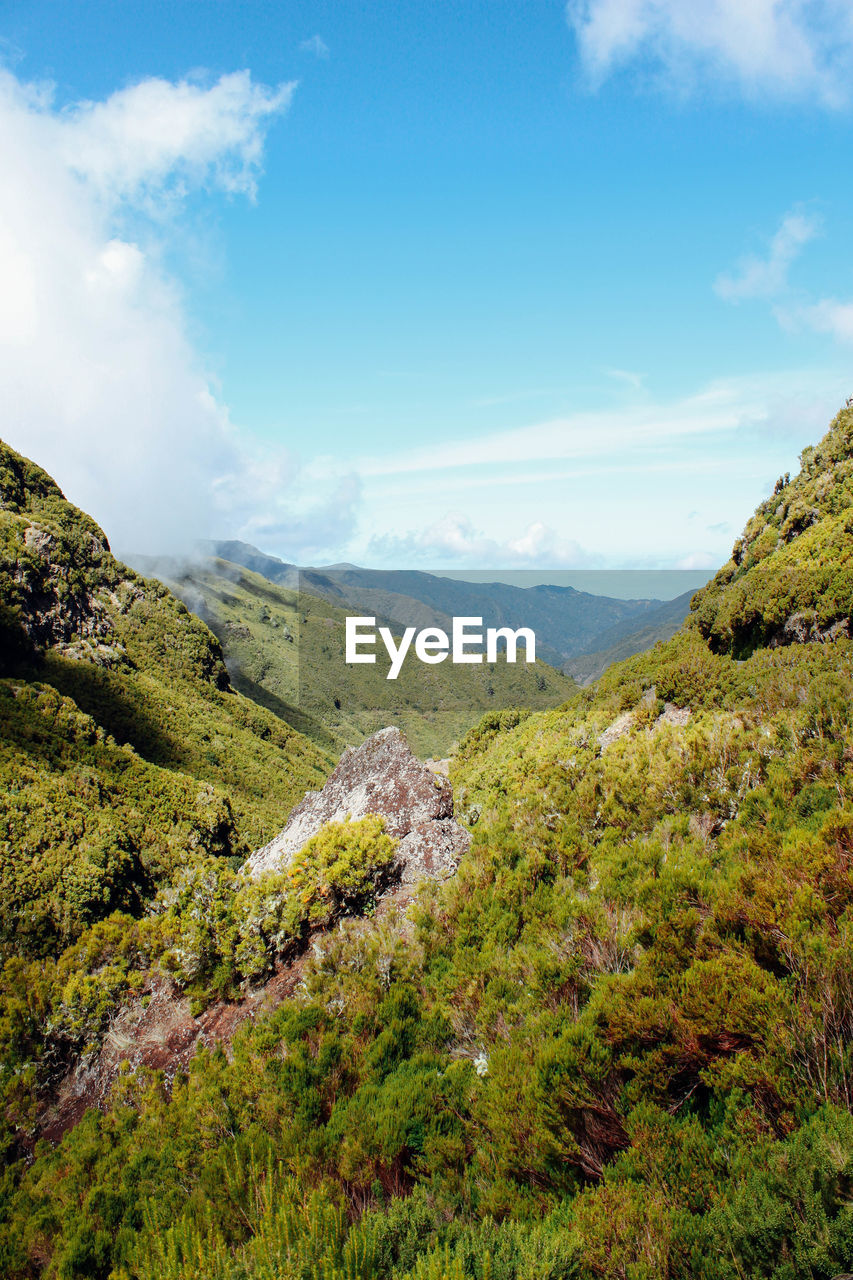 Scenic view of tree mountains against sky