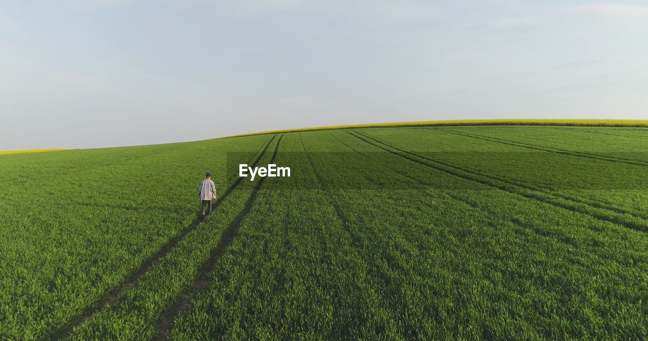 scenic view of field against clear sky