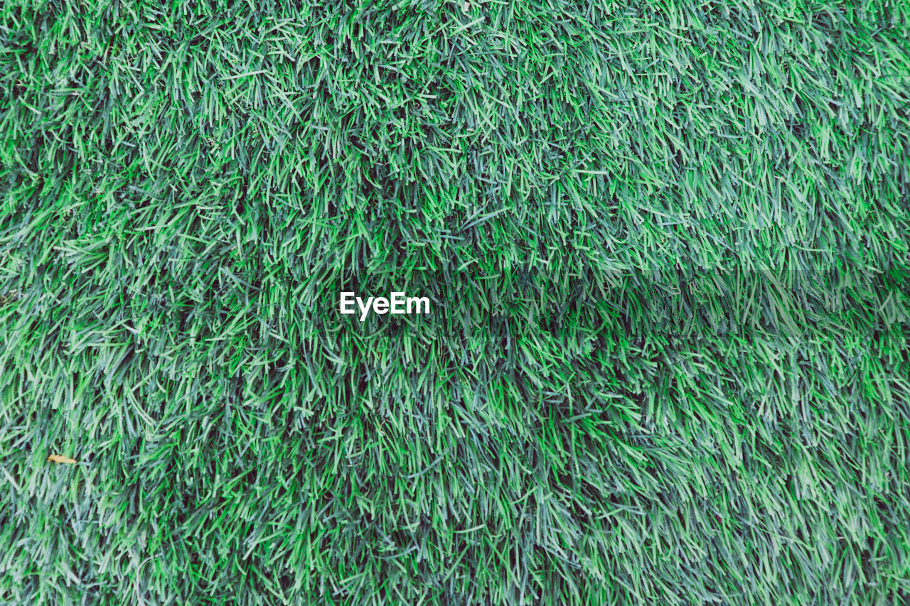 FULL FRAME SHOT OF GREEN GRASS