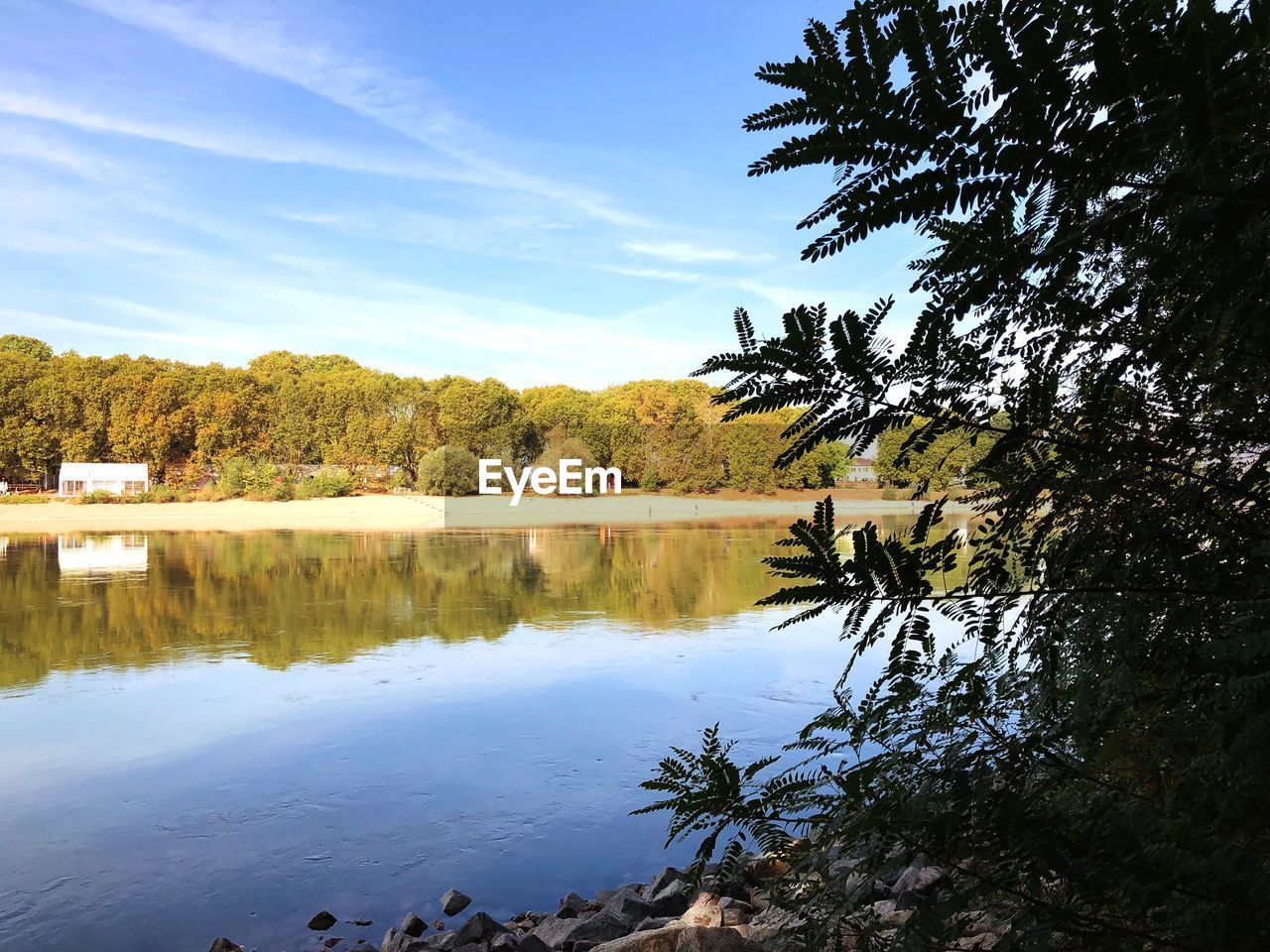 TREES BY LAKE AGAINST SKY