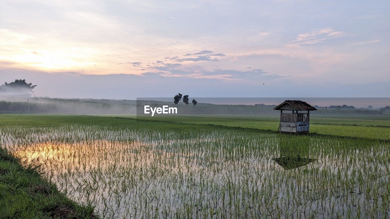 scenic view of field against sky during sunset