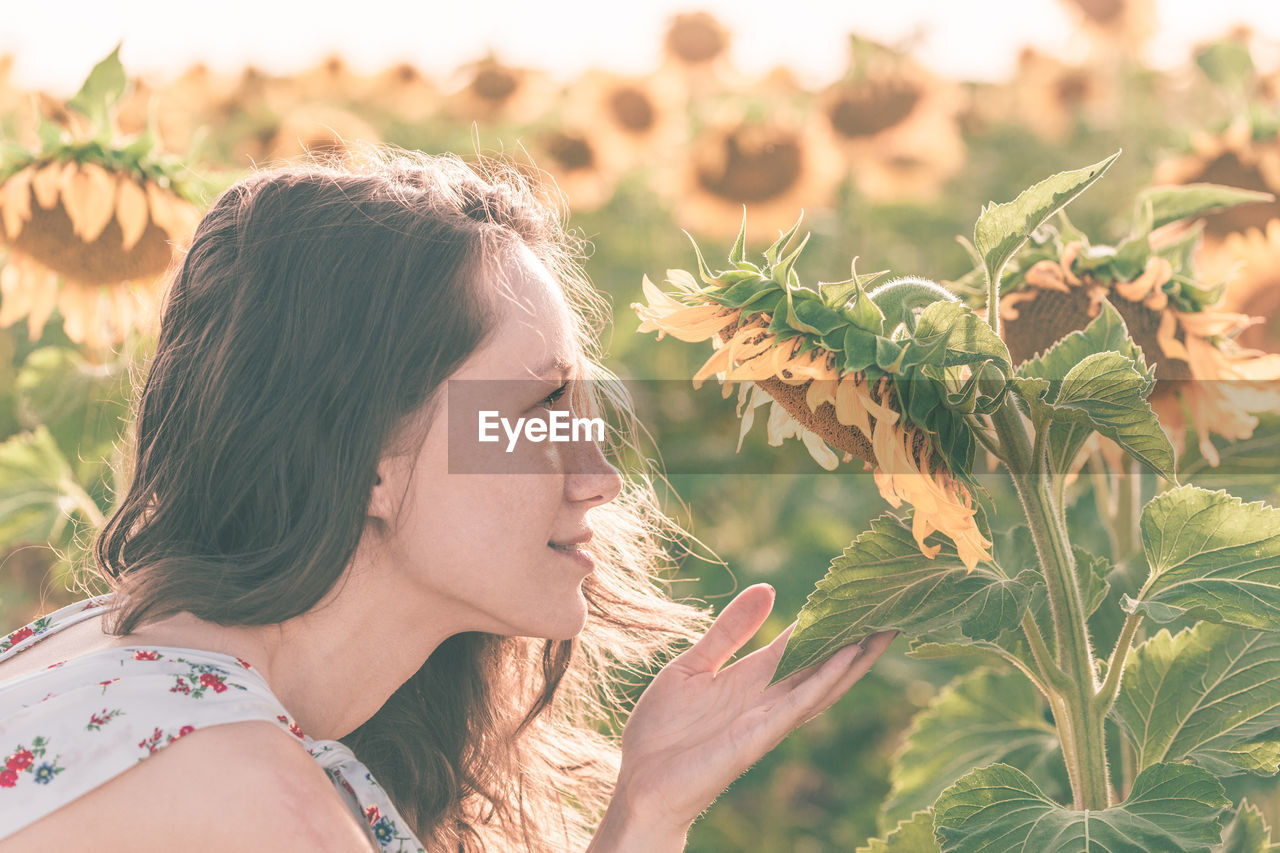 Woman looking at sunflower plants