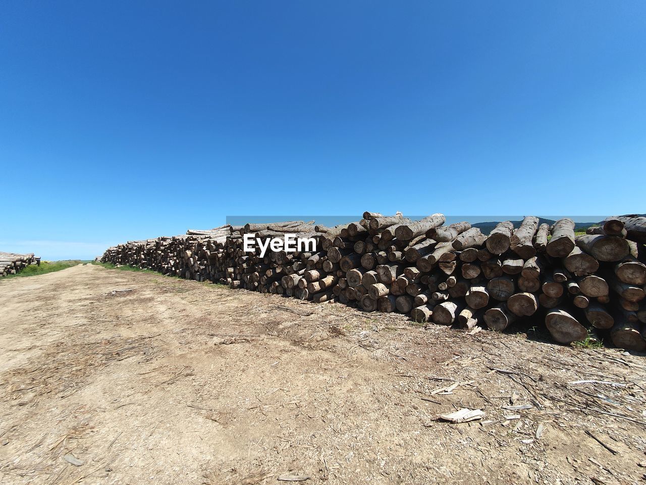 STACK OF LOGS AGAINST BLUE SKY