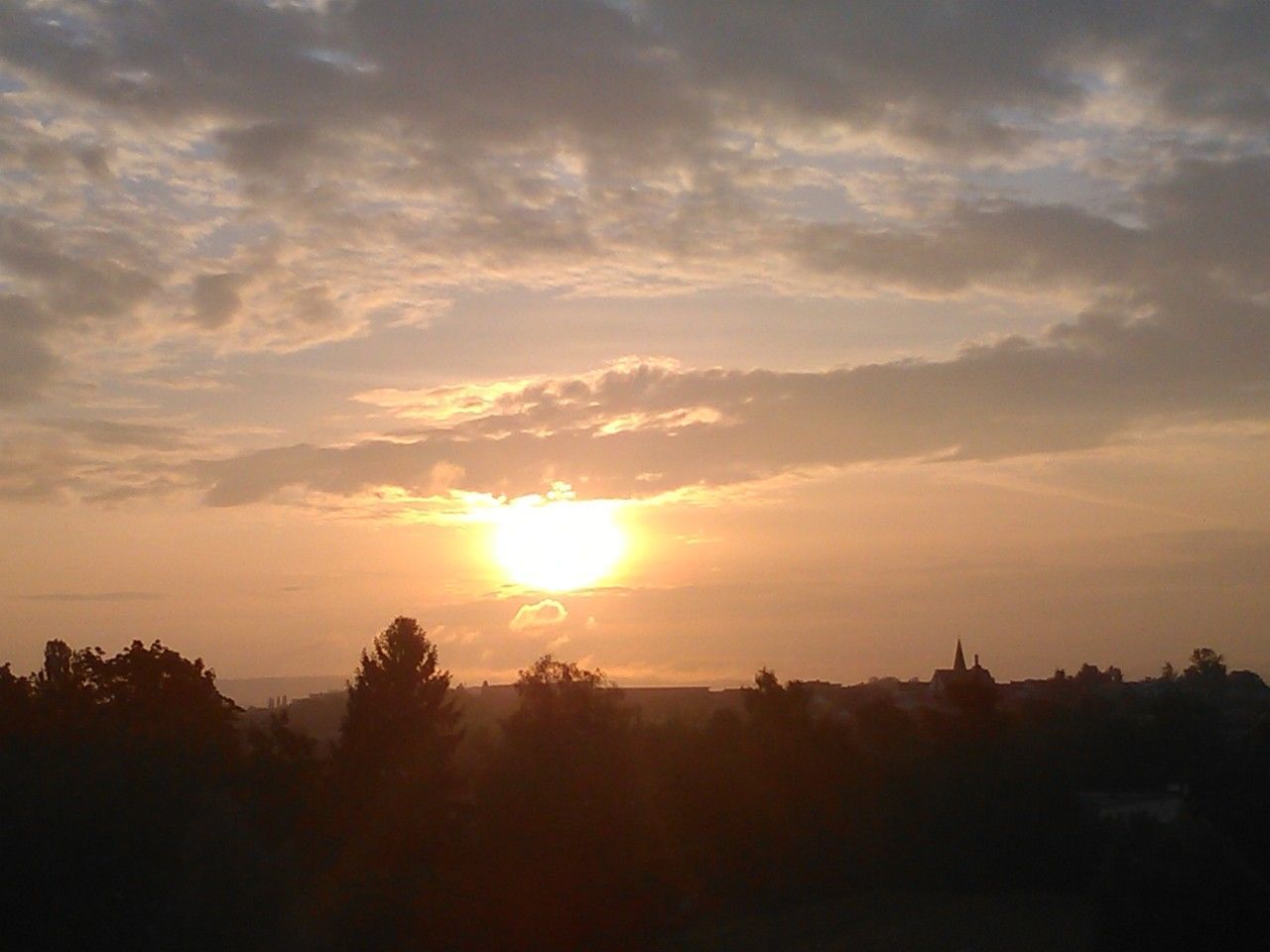 SILHOUETTE OF TREES ON LANDSCAPE AT SUNSET