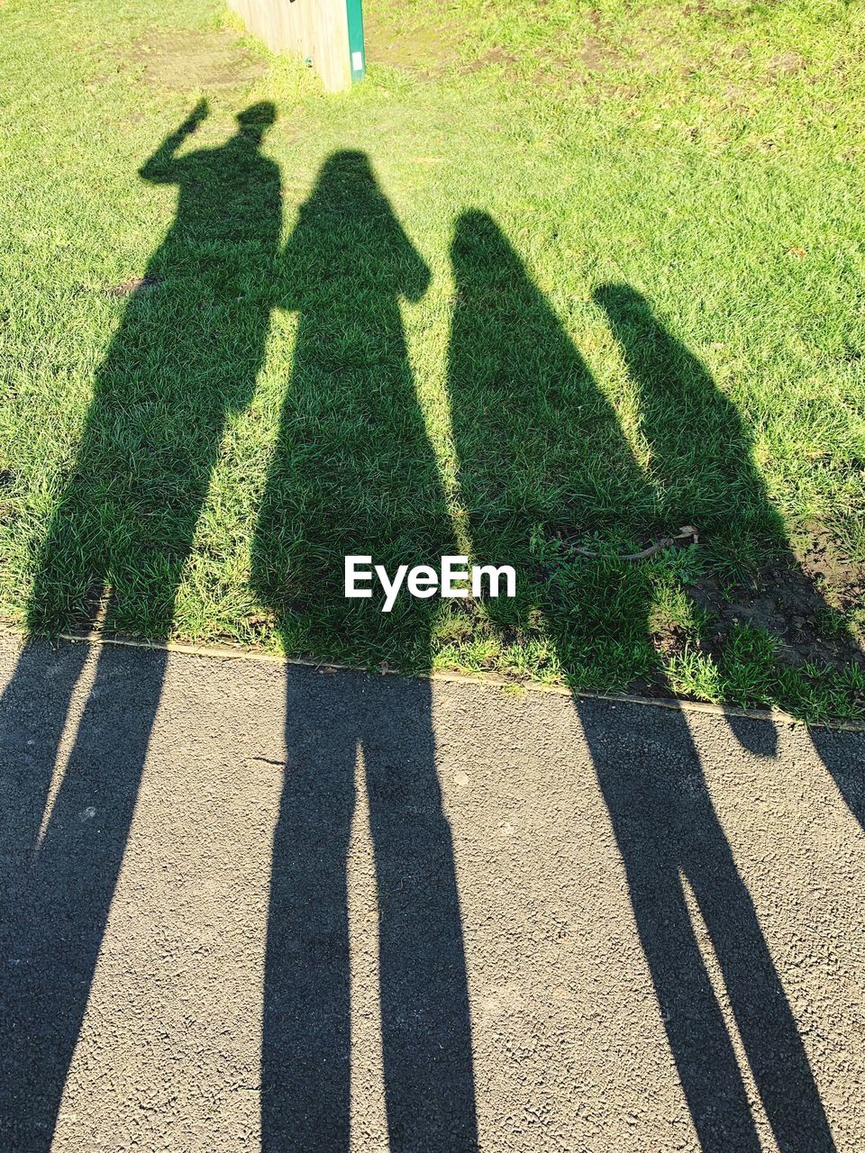 SHADOW OF PEOPLE ON GRASSY FIELD